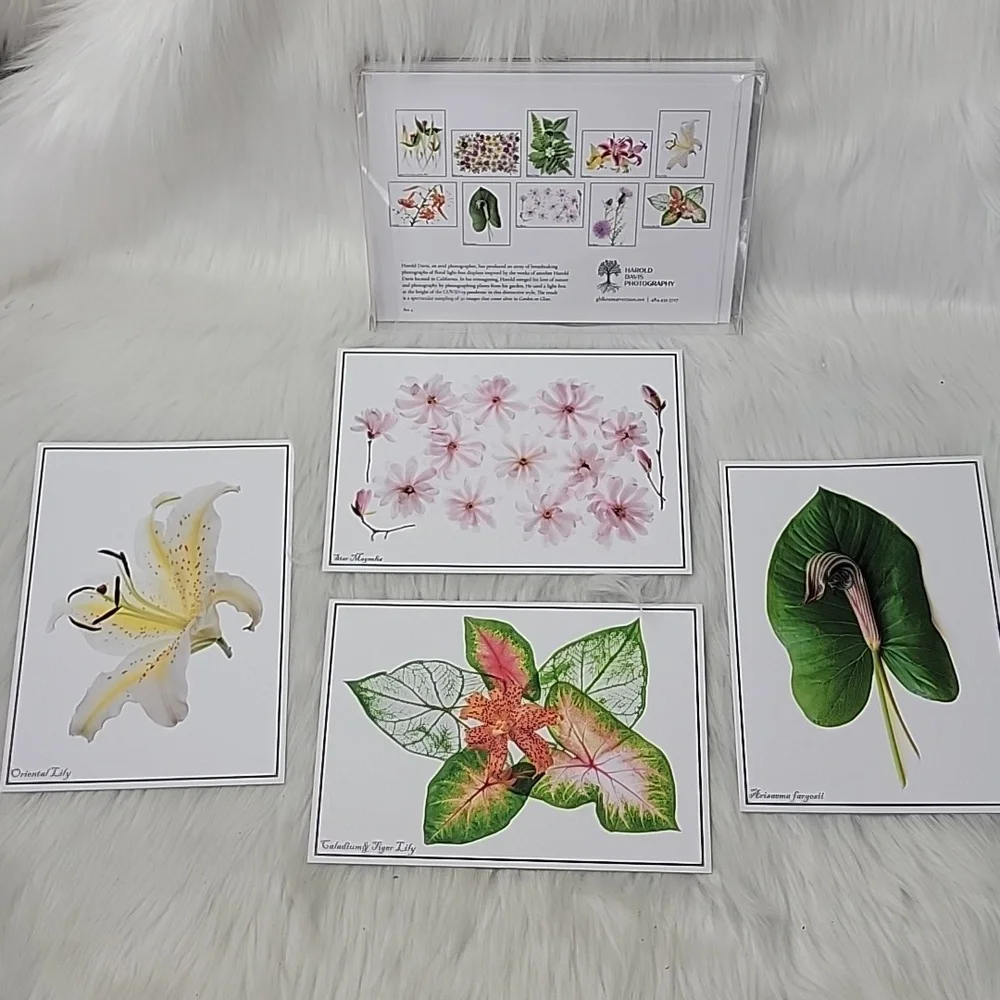 HAROLD DAVIS PHOTOGRAPHY‎ Blank Floral Green Garden Greeting Note Card Set of 10